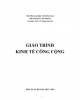 Giáo trình Kinh tế công cộng: Phần 1 - PGS.TS. Phạm Thị Tuệ (Chủ biên)